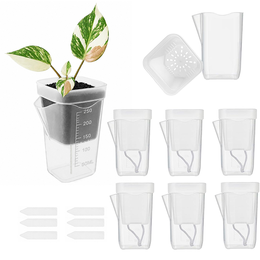 Gardening Tools For Seniors - 12/24 шт. самополивающиеся горшки для суккулентов,