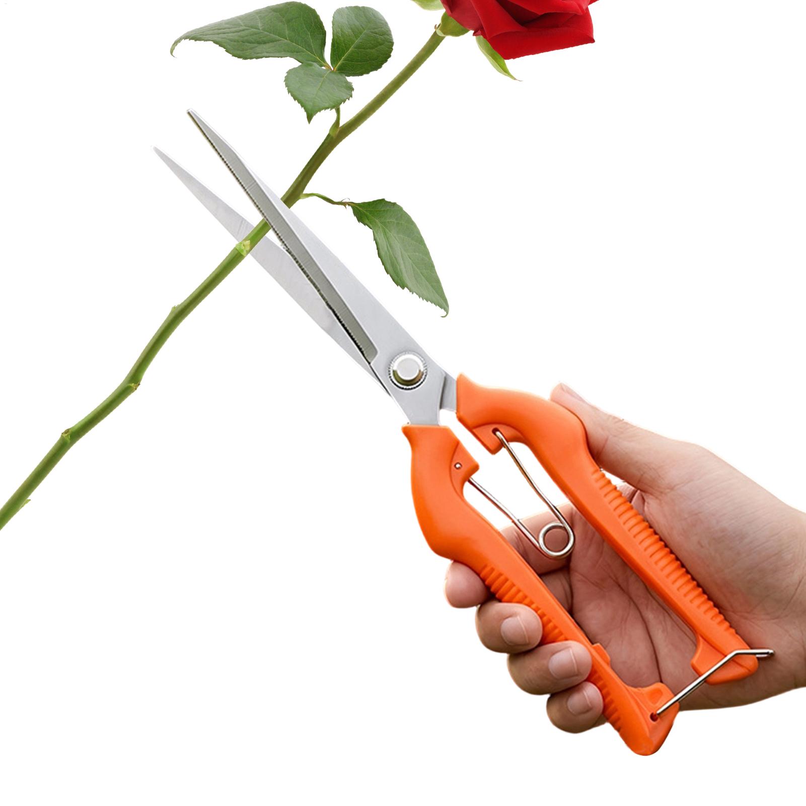 Новые профессиональные садовые – обзор и цена Gardening Tools Women