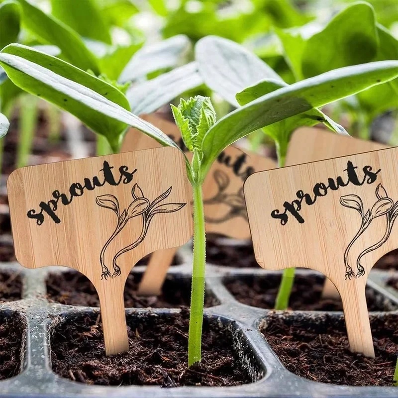 10–60 шт. бамбуковых бирок для – обзор и цена Gardening Tools Labeled
