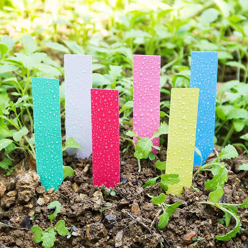 100Pcs садовые растительные эт – обзор и цена Gardening Tools Labeled
