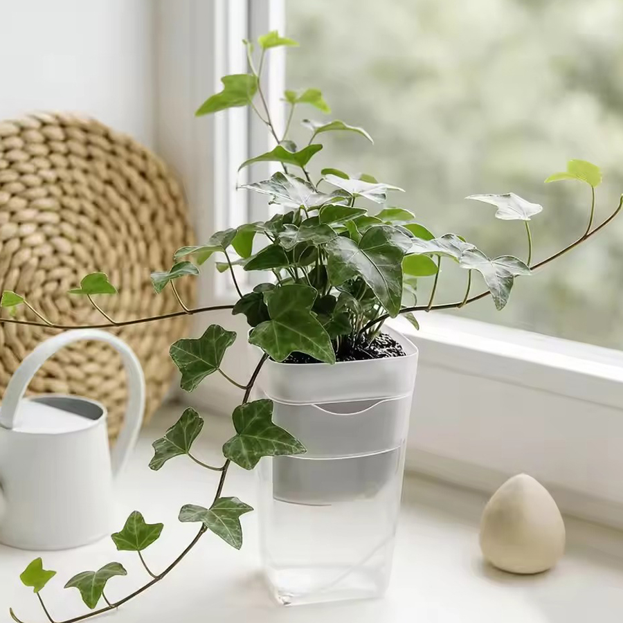 12/24 шт. самополивающиеся гор – обзор и цена Gardening Tools For Seniors